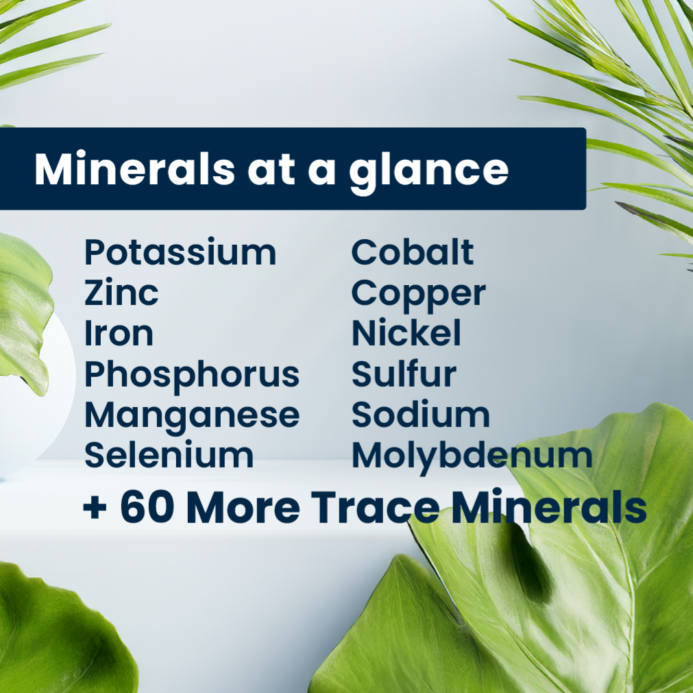 Miracles of Health