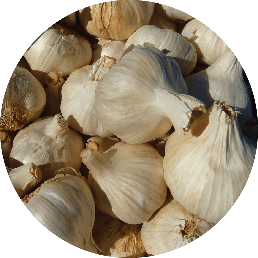 rosewood oil, where to get essential oils, benzoin essential oil, aura cacia essential oils, strawberry essential oil, making essential oils, valerian essential oil, young essential oils, calendula essential oil, nag champa essential oil, fresh ginger essential oil, aromatherapy oils uk, palmarosa essential oil, tuberose essential oil, essential oils for hair growth, young living essential oils, apple essential oil, organic essential oils wholesale, ginger oil where to buy, essential oil scents, ingestible essential oils, where do you buy essential oils, mandarin essential oil, catnip essential oil, pomegranate essential oil, immortelle essential oil, violet essential oil, helichrysum italicum essential oil, white ginger essential oil, elemis oil, sweet orange essential oil, where can you buy ginger oil, oakmoss essential oil, list of essential oils, ravensara essential oil, coriander essential oil, pure oil, ginger aromatherapy, rocky mountain essential oils, tangerine essential oil, where to purchase essential oils, aromatherapy oils for stress, now ginger oil, manuka essential oil, arnica essential oil, ginger oil capsules, high quality essential oils, electric essential oil diffuser, myrtle essential oil, bay rum essential oil, hyssop essential oil, garlic essential oil, cinnamon leaf essential oil, musk essential oil, peace and calming essential oil, mango essential oil, galbanum essential oil, spruce essential oil, green tea essential oil, cajeput essential oil, rose otto essential oil, verbena essential oil, massage oil, orange blossom essential oil, lemon myrtle essential oil, angelica essential oil, lotus essential oil, pure lavender essential oil, dill essential oil, pineapple essential oil, camomile essential oil, rose absolute essential oil, cucumber essential oil, ginger essential oil for skin, ginger essential oil for hair, myrtle oil, where to find essential oils, peach essential oil, essential oils for men, menthol essential oil, edens garden essential oils, where can i get ginger oil, anise essential oil, cassia essential oil, elemi essential oil, best quality essential oils, ginger eo, food grade ginger oil, palmarosa oil, what are essential oils, fir needle essential oil, petitgrain essential oil, chocolate essential oil, neem essential oil, now ginger essential oil, niaouli essential oil, magnolia essential oil, essential oils india, essential oils melbourne, discount essential oils, how to use essential oils, bay essential oil, healing essential oils, quality essential oils, cistus essential oil, essential oil recipes, fig essential oil, essential oil spray, essential oils for chakras, essential oils and their uses, where do i buy essential oils, how to make essential oils, ginger oil massage benefits, carrot essential oil, where can i get essential oils, affordable essential oils, essential oils for, selling essential oils, essential oil samples, essential oil shampoo, organic lavender essential oil, fir essential oil, carrier oil for essential oils, orange ginger essential oil, peony essential oil, pure essential oils wholesale, balsam essential oil, clove bud essential oil, living essential oils, floral essential oils, ginger massage oil, essential oil display, aroma essential oil, ginger root oil benefits, jojoba essential oil, rose essential oil benefits, essential oil therapy, ledum essential oil, ocotea essential oil, yuzu essential oil, essential oil chart, ginger oil for muscle pain, pink grapefruit essential oil,