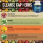 Cleanse-Caps-Herbs-ng