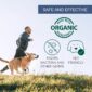 Man running with dog with information about how Colloidal Silver is safe for pets